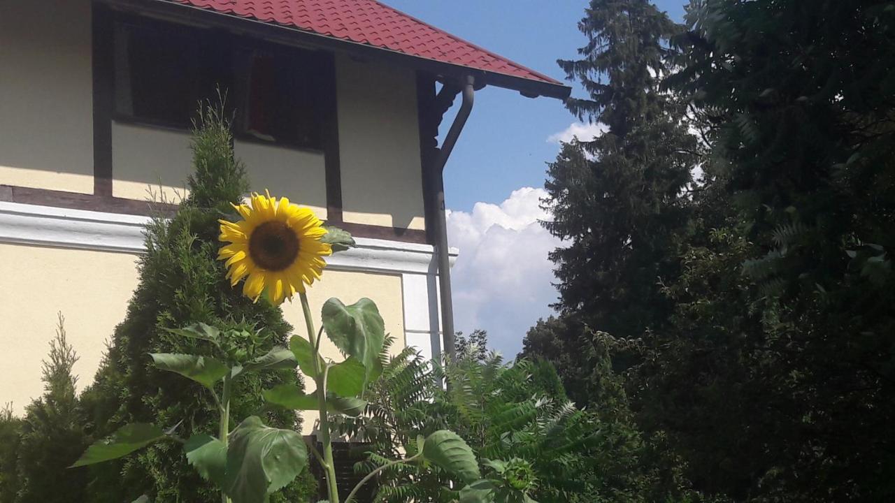 Penzion Pod Orechom Turčianske Teplice Exterior foto