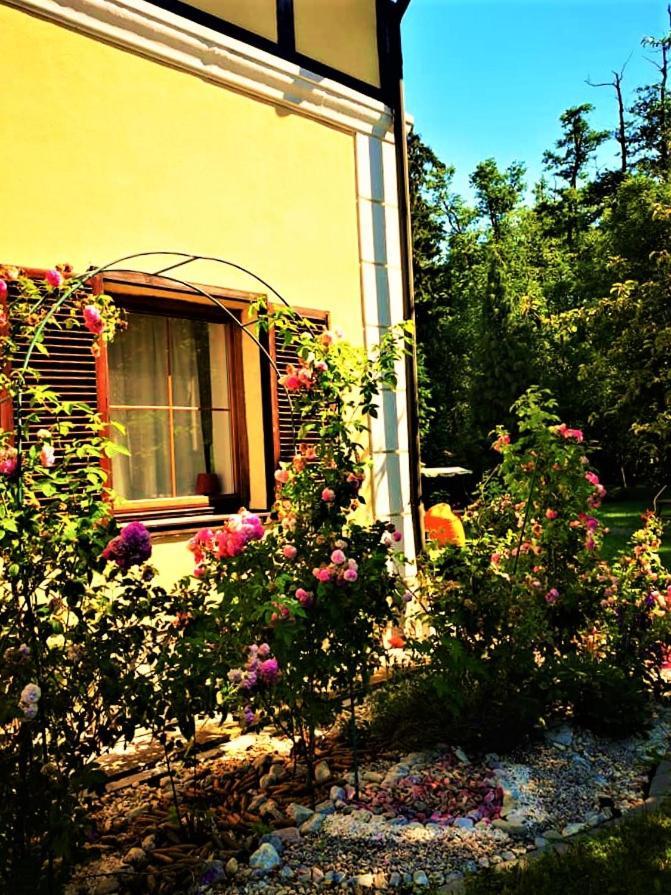 Penzion Pod Orechom Turčianske Teplice Exterior foto