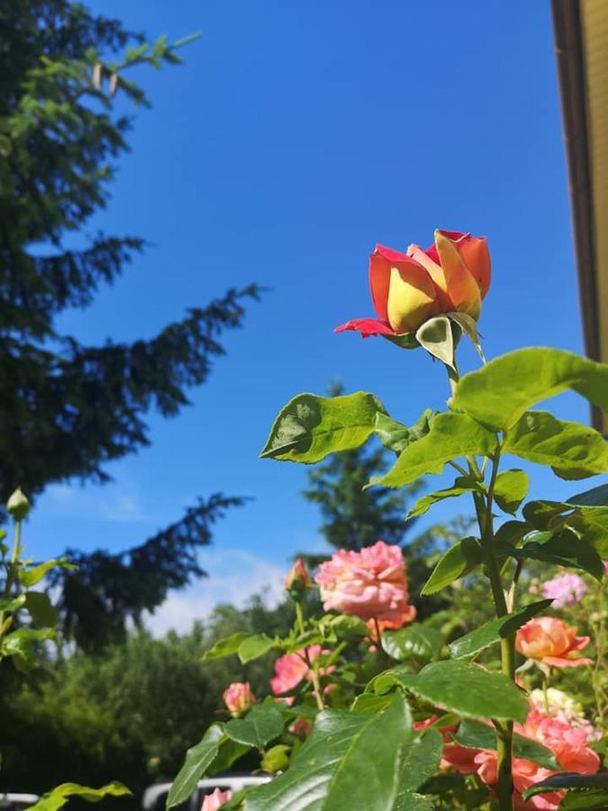 Penzion Pod Orechom Turčianske Teplice Exterior foto